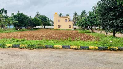Residential Plot