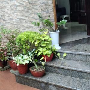 Balcony Image of 2010 Sq.ft 3 BHK Independent House for sale in Mannanthala Thiruvananthapuram for Rs. 12000000
