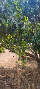 Image of 5989 Sq.ft Residential Plot / Land for sale in Harohalli, Ramnagara, Bengaluru for Rs. 7181411