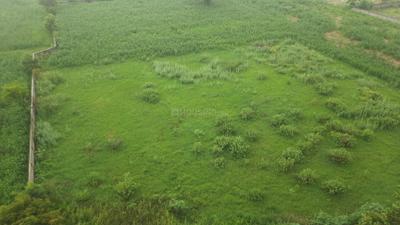 Image of 1260 Sq.ft 2 BHK Apartment / Flat for sale in BDI Sunshine City, Sector 15, Bhiwadi for Rs. 3450000