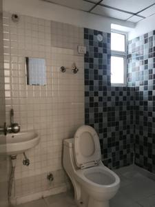Common Bathroom Image of 1055 Sq.ft 2 BHK Apartment / Flat for rent in Divyansh Flora by Divyansh Infraheight Pvt. Ltd., Noida Extension Greater Noida for Rs. 19000