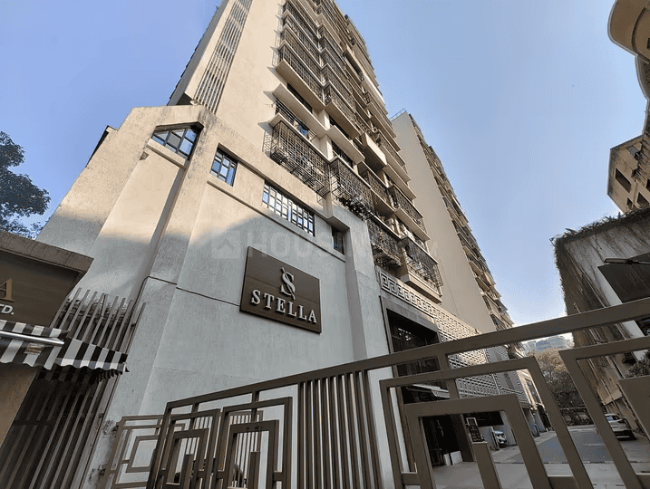 Chandak Stella Main Image 1