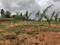 Atharva Green Main Image 1