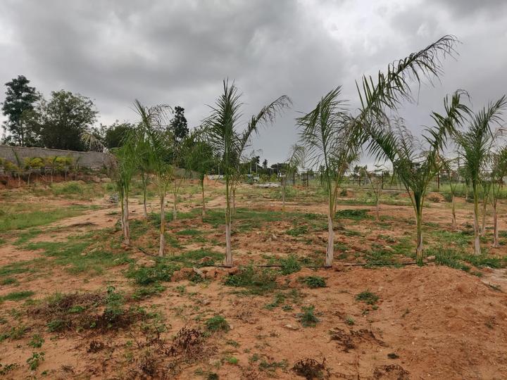 Atharva Green Main Image 1