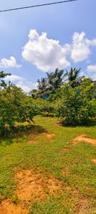 Image of 87120 Sq.ft Residential Plot / Land for sale in Kandukur, Hyderabad for Rs. 37000000