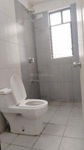 Bathroom Image of 927 Sq.ft 2 BHK Apartment / Flat for rent in Nanded Asawari, Nanded Pune for Rs. 24000