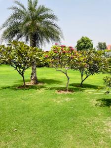 Image of 43560 Sq.ft Residential Plot / Land for sale in Vatika Westin Sohna Resort, Karnki, Gurgaon for Rs. 40000000