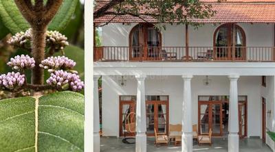 Image of 3000 Sq.ft 3 BHK Villa for sale in Assagao, Goa for Rs. 68500000