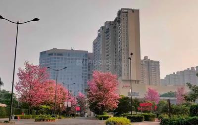 Image of 1139 Sq.ft 2 BHK Apartment / Flat for sale in Nikoo Homes V, Kannuru, Bengaluru for Rs. 14900007