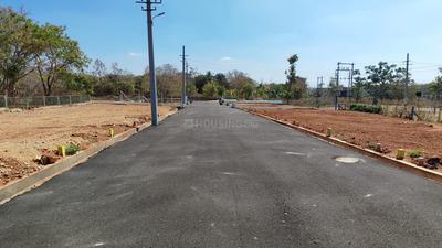 Journalist Layout Plot View 1