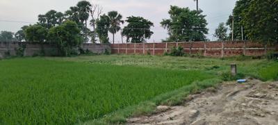 Karmali chawk Plot View 1