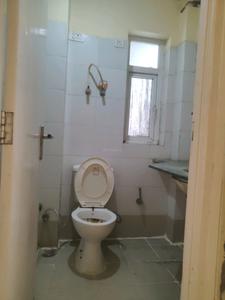 Common Bathroom Image of 1248 Sq.ft 2 BHK Apartment / Flat for rent in Jasana Princes Park, Sector 86 Faridabad for Rs. 19000