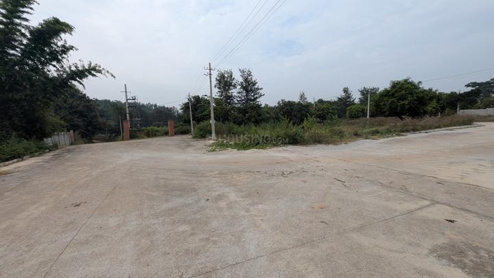 Nesra sandal wood Kanakapura road Main Image 1