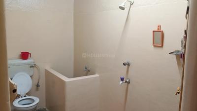 Bathroom Image of Ladies pg in Airport Gate no. 1, Kolkata