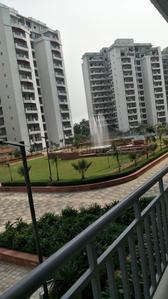 Balcony Image of 1390 Sq.ft 2 BHK Apartment / Flat for rent in TARC Maceo, Sector 91 Gurgaon for Rs. 28000