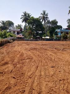 40 Cent Housing Plot for Sale Plot View 1