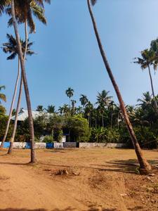 Image of 8247 Sq.ft Residential Plot / Land for sale in Chalakudy, Thrissur for Rs. 12350000
