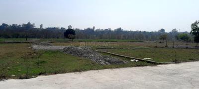 Bhadraj enclave  Plot View 1
