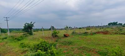 Agricultural Land