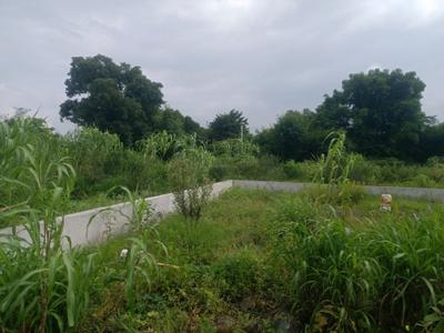 Residential Plot