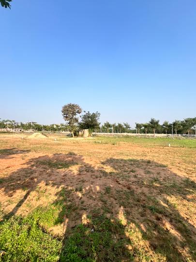 AGS And JB Meadows Main Image 1