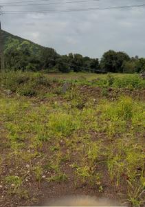 Image of 500 Sq.ft 1 BHK Apartment / Flat for sale in Pratham Vrundavan, Wakadi, Navi Mumbai for Rs. 3000000