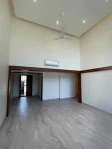 Kitchen Image of 3930 Sq.ft 3 BHK Apartment / Flat for rent in Lavelle Road Bengaluru for Rs. 500000
