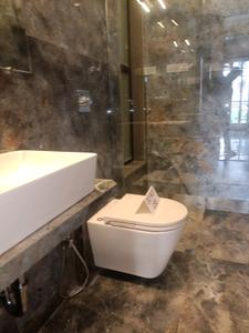 Common Bathroom Image of 1320 Sq.ft 2 BHK Apartment / Flat for sale in Paradise Sai World Empire Phase 1, Kharghar Navi Mumbai for Rs. 19000000