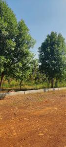 Image of 5000 Sq.ft 1 BHK Farm House for sale in Uthukkottai, Chennai for Rs. 1995000
