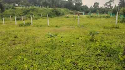 Image of 4500 Sq.ft Residential Plot / Land for sale in Karjat, Thane for Rs. 5000000