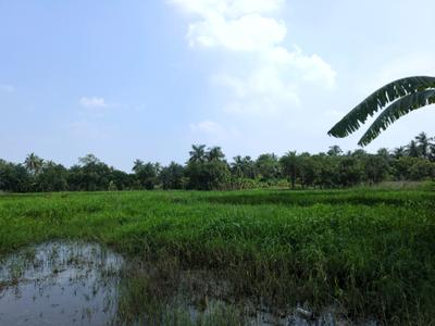 Image of 1800 Sq.ft Residential Plot / Land for sale in Natures Paradise, Joka, Kolkata for Rs. 374998