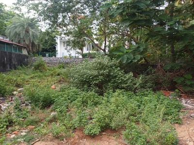 Residential Plot