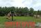 Chakan Phase II Plot View 2