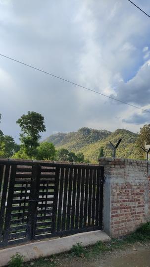 Dhaulas Main Image 1