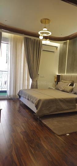 Aura Gazania Main Image 1