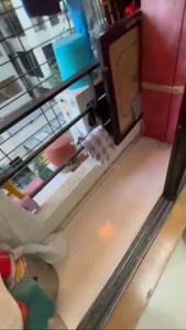 Balcony Image of 685 Sq.ft 1 BHK Apartment / Flat for sale in Madhuraaj Madhukunj Housing Society, Kharghar Navi Mumbai for Rs. 7000000