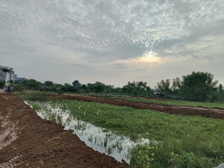 Nature City  Main Image 1