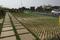 The County Address Phase 2 Main Image 1