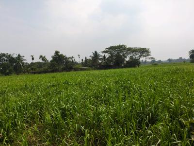 Image of 1440 Sq.ft Residential Plot / Land for sale in Wander Valley, Joka, Kolkata for Rs. 510042