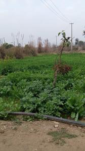 Residential Plot