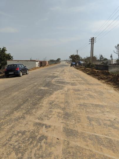 Manjhawali Main Image 1