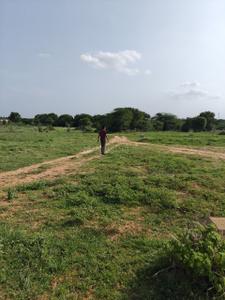 Kothur Plot View 1