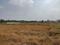 Knowledge Park 3 Plot View 2