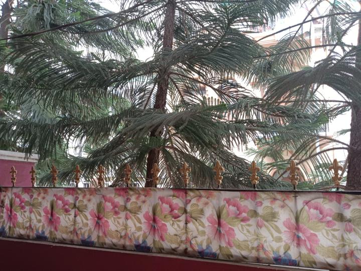 Surya Nagar, Toli Chowki Main Image 1