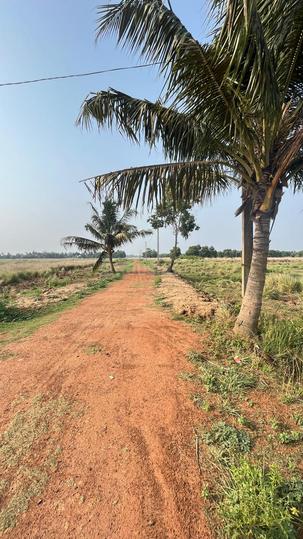 Maltipatpur Main Image 1