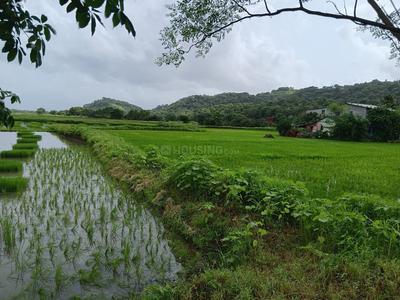 Image of 1089 Sq.ft Residential Plot / Land for sale in Invest Mahamumbai Plots In Ranjanpada, Ranjanpada, Navi Mumbai for Rs. 700000