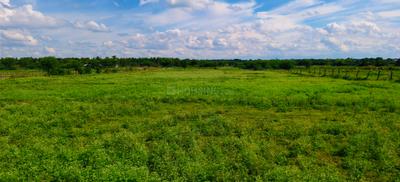 Image of 174240 Sq.ft Residential Plot / Land for sale in Kadthal, Hyderabad for Rs. 100000000