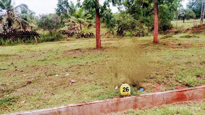 Victoria Spurthy Shelters Main Image 1