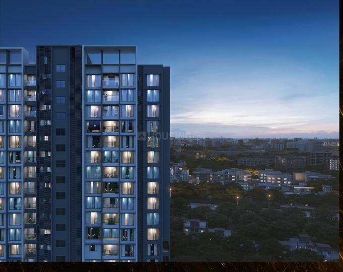 Ellanza Zenistry B More Images 1