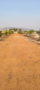 Residential Plot